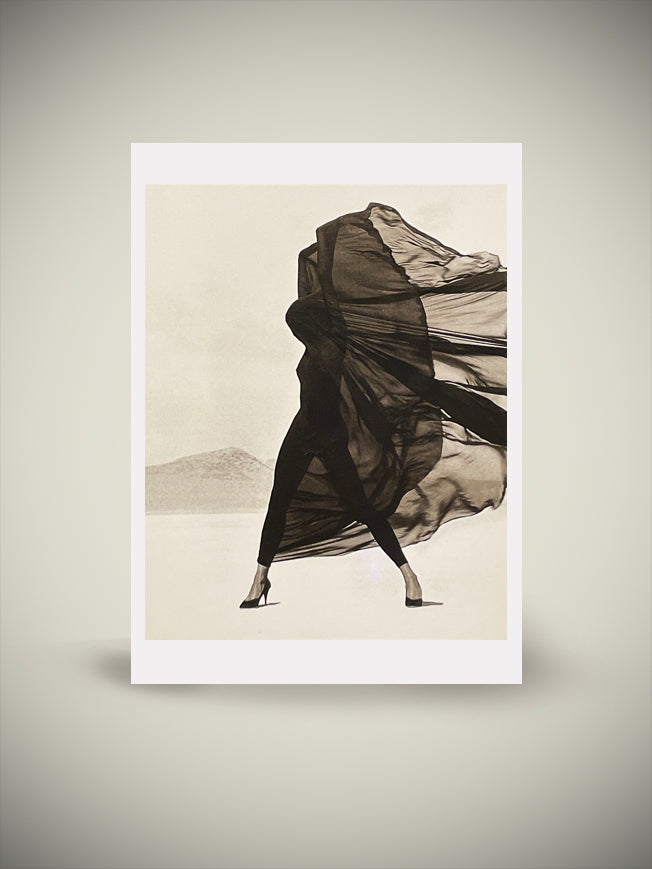 Postcard 'Versace Veiled Dress, El Mirage', Herb Ritts | Tartan & Zebra